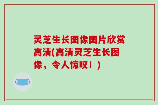 灵芝生长图像图片欣赏高清(高清灵芝生长图像，令人惊叹！)