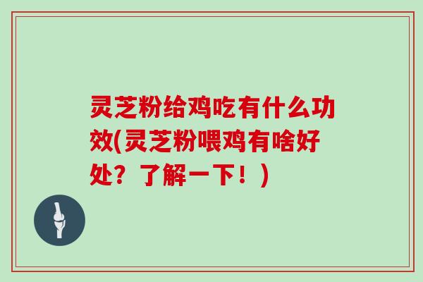 灵芝粉给鸡吃有什么功效(灵芝粉喂鸡有啥好处？了解一下！)