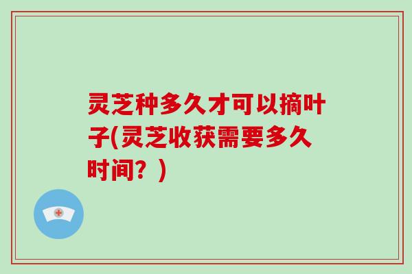 灵芝种多久才可以摘叶子(灵芝收获需要多久时间?)