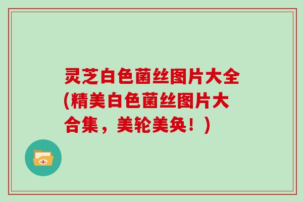 灵芝白色菌丝图片大全(精美白色菌丝图片大合集,美轮美奂!)
