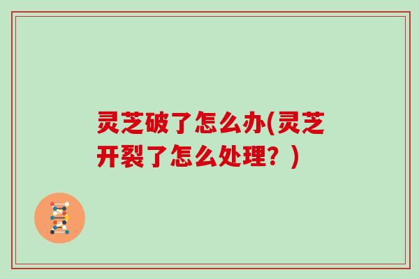 灵芝破了怎么办(灵芝开裂了怎么处理?)
