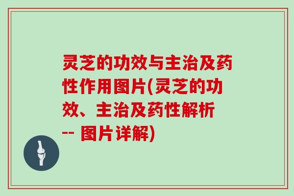 灵芝的功效与主治及药性作用图片(灵芝的功效、主治及药性解析 -- 图片详解)