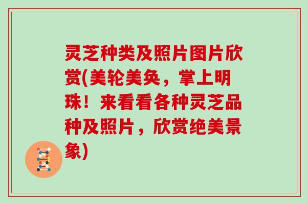 灵芝种类及照片图片欣赏(美轮美奂,掌上明珠!来看看各种灵芝品种及照片,欣赏绝美景象)