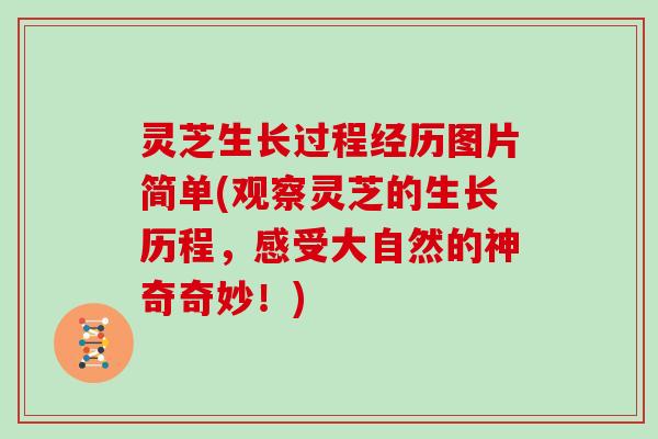 灵芝生长过程经历图片简单(观察灵芝的生长历程，感受大自然的神奇奇妙！)