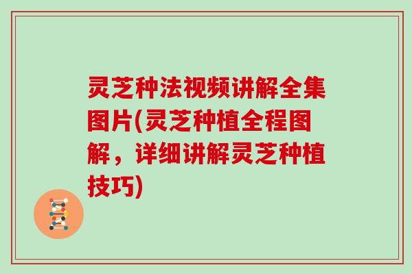 灵芝种法视频讲解全集图片(灵芝种植全程图解,详细讲解灵芝种植技巧)