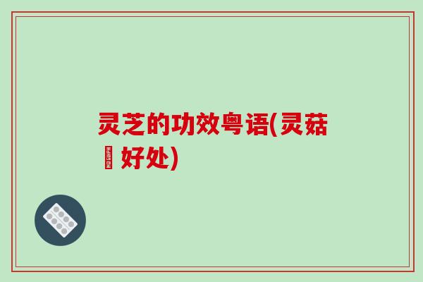灵芝的功效粤语(灵菇嘅好处)