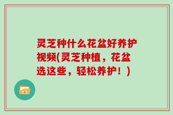 灵芝种什么花盆好养护视频(灵芝种植,花盆选这些,轻松养护!)