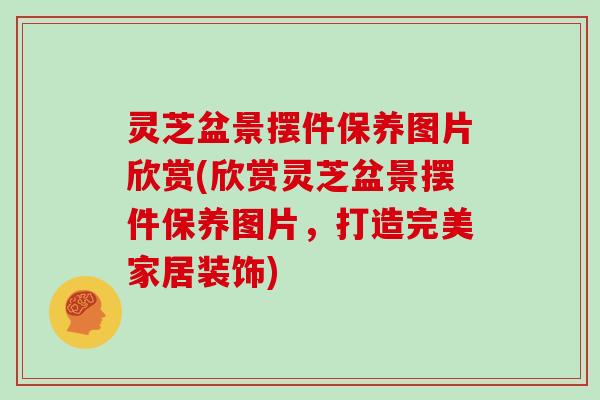 灵芝盆景摆件保养图片欣赏(欣赏灵芝盆景摆件保养图片,打造完美家居装饰)