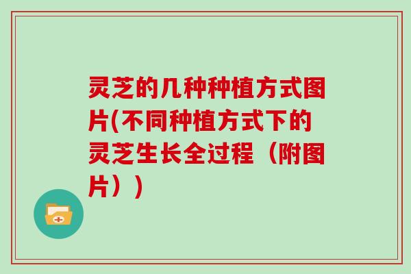 灵芝的几种种植方式图片(不同种植方式下的灵芝生长全过程（附图片）)