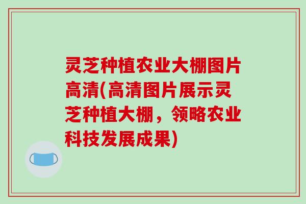 灵芝种植农业大棚图片高清(高清图片展示灵芝种植大棚,领略农业科技发展成果)