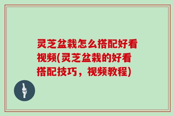 灵芝盆栽怎么搭配好看视频(灵芝盆栽的好看搭配技巧,视频教程)