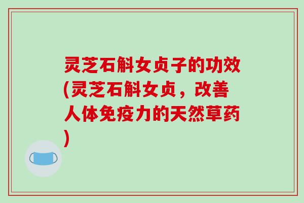 灵芝石斛女贞子的功效(灵芝石斛女贞，改善人体免疫力的天然草药)