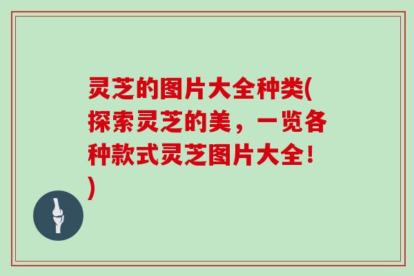 灵芝的图片大全种类(探索灵芝的美,一览各种款式灵芝图片大全!)