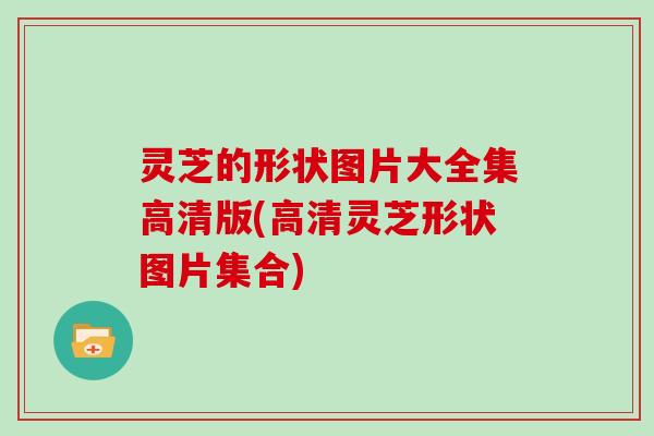 灵芝的形状图片大全集高清版(高清灵芝形状图片集合)