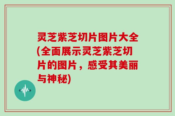 灵芝紫芝切片图片大全(全面展示灵芝紫芝切片的图片,感受其美丽与神秘)