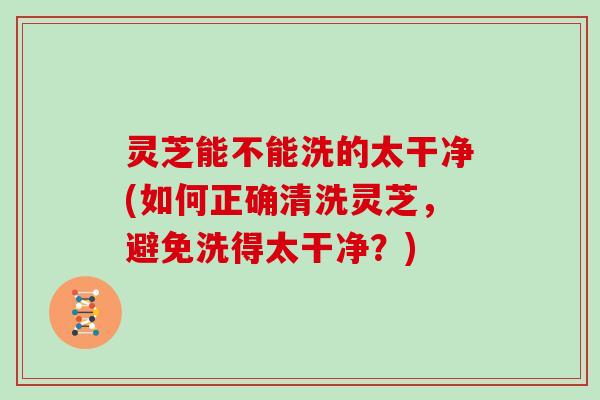 灵芝能不能洗的太干净(如何正确清洗灵芝,避免洗得太干净?)