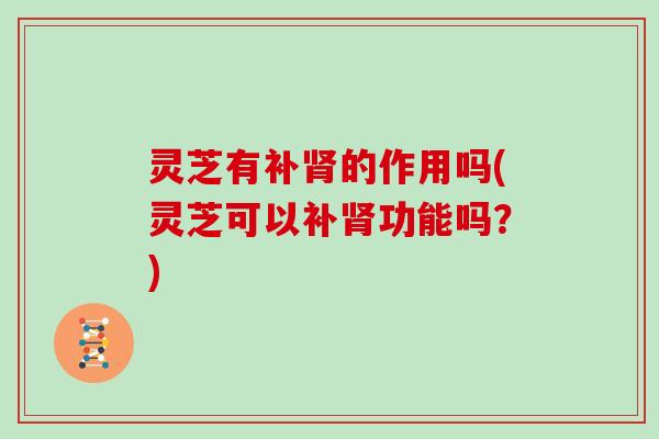 灵芝有补肾的作用吗(灵芝可以补肾功能吗?)