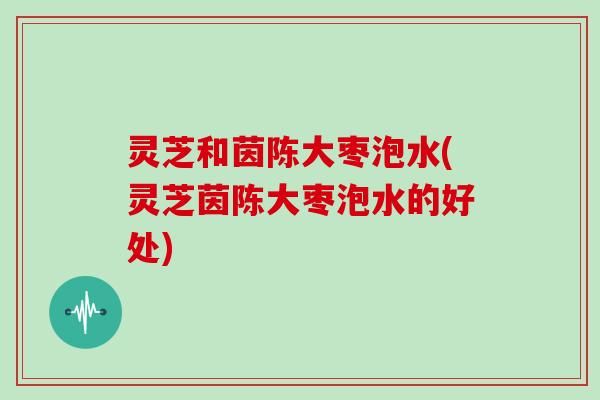灵芝和茵陈大枣泡水(灵芝茵陈大枣泡水的好处)