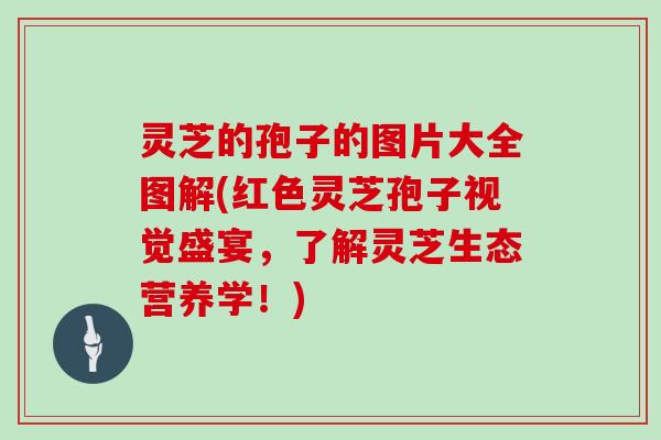 灵芝的孢子的图片大全图解(红色灵芝孢子视觉盛宴,了解灵芝生态营养学!)