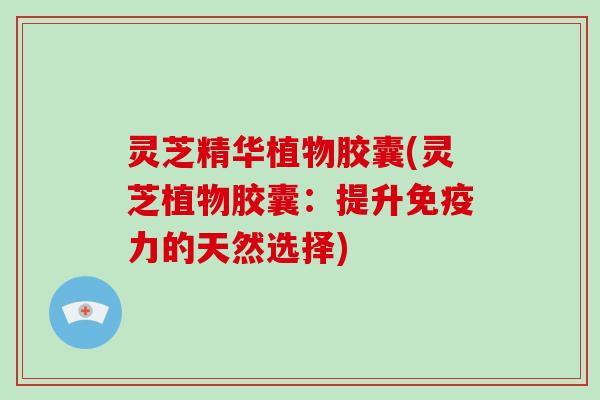 灵芝精华植物胶囊(灵芝植物胶囊:提升免疫力的天然选择)