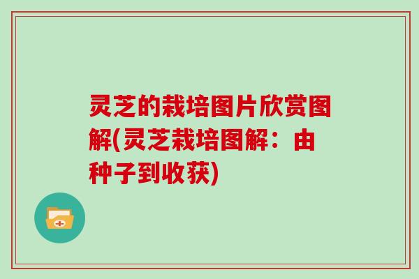 灵芝的栽培图片欣赏图解(灵芝栽培图解:由种子到收获)