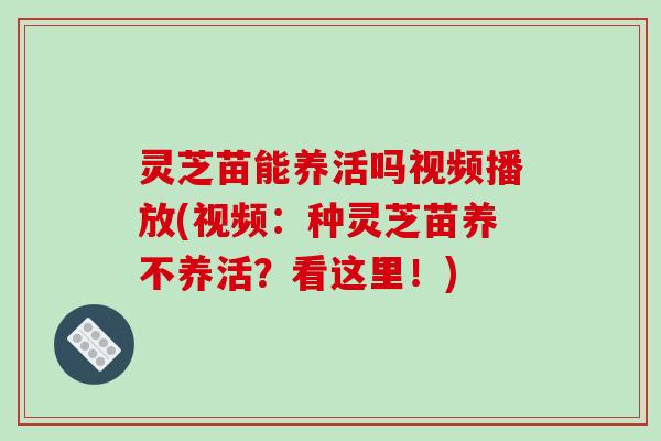 灵芝苗能养活吗视频播放(视频：种灵芝苗养不养活？看这里！)