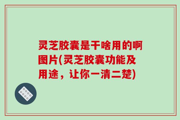 灵芝胶囊是干啥用的啊图片(灵芝胶囊功能及用途,让你一清二楚)