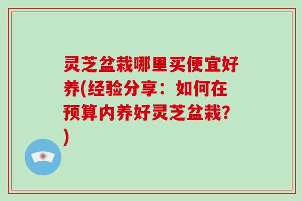 灵芝盆栽哪里买便宜好养(经验分享:如何在预算内养好灵芝盆栽?)