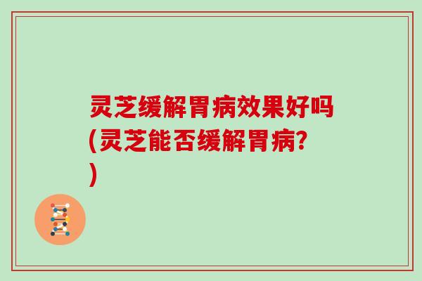 灵芝缓解胃病效果好吗(灵芝能否缓解胃病?)