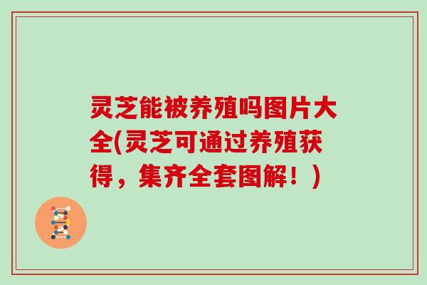 灵芝能被养殖吗图片大全(灵芝可通过养殖获得,集齐全套图解!)