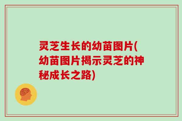 灵芝生长的幼苗图片(幼苗图片揭示灵芝的神秘成长之路)