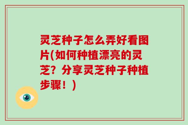 灵芝种子怎么弄好看图片(如何种植漂亮的灵芝?分享灵芝种子种植步骤!)