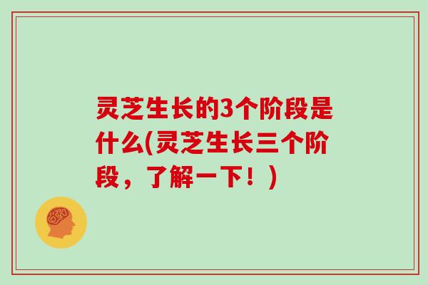 灵芝生长的3个阶段是什么(灵芝生长三个阶段,了解一下!)