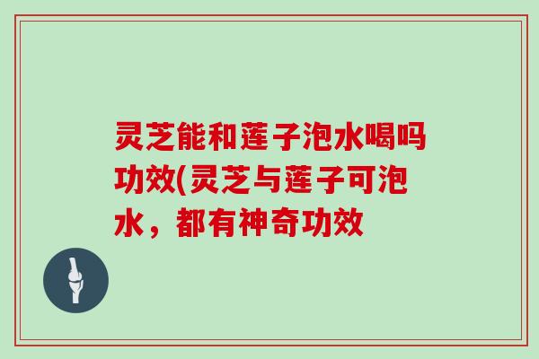 灵芝能和莲子泡水喝吗功效(灵芝与莲子可泡水,都有神奇功效