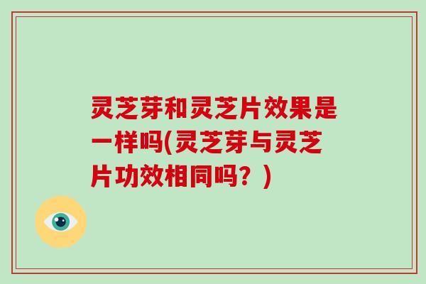 灵芝芽和灵芝片效果是一样吗(灵芝芽与灵芝片功效相同吗?)