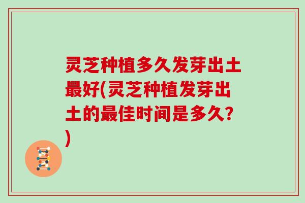 灵芝种植多久发芽出土最好(灵芝种植发芽出土的最佳时间是多久?)