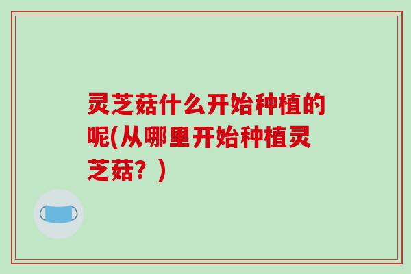 灵芝菇什么开始种植的呢(从哪里开始种植灵芝菇?)