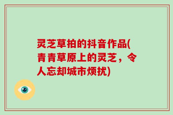 灵芝草拍的抖音作品(青青草原上的灵芝,令人忘却城市烦扰)