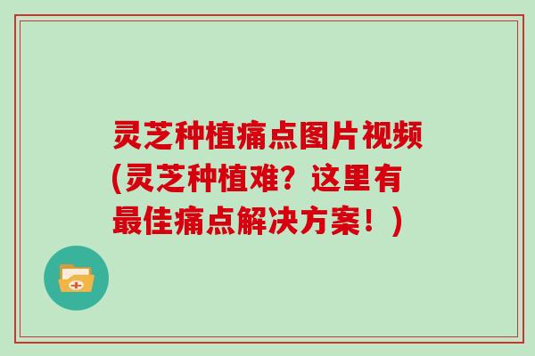 灵芝种植痛点图片视频(灵芝种植难?这里有最佳痛点解决方案!)