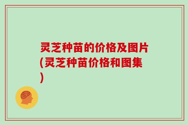 灵芝种苗的价格及图片(灵芝种苗价格和图集)