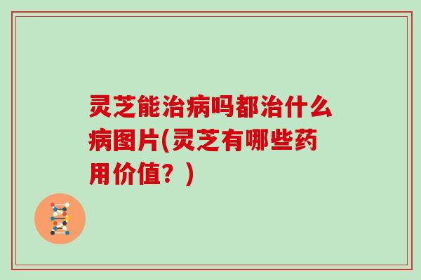 灵芝能治病吗都治什么病图片(灵芝有哪些药用价值?)