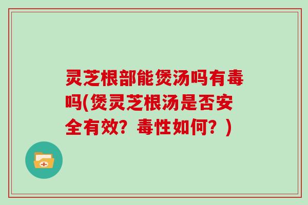 灵芝根部能煲汤吗有毒吗(煲灵芝根汤是否安全有效?毒性如何?)