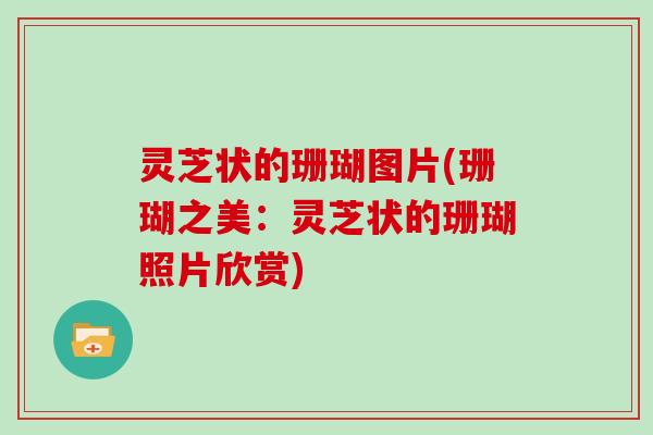 灵芝状的珊瑚图片(珊瑚之美:灵芝状的珊瑚照片欣赏)