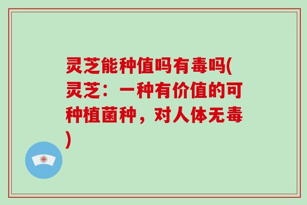 灵芝能种值吗有毒吗(灵芝:一种有价值的可种植菌种,对人体无毒)