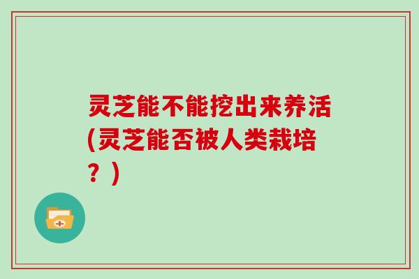 灵芝能不能挖出来养活(灵芝能否被人类栽培？)