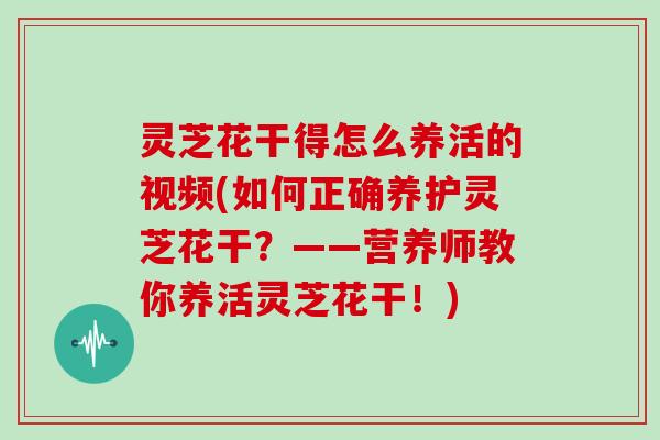 灵芝花干得怎么养活的视频(如何正确养护灵芝花干？——营养师教你养活灵芝花干！)