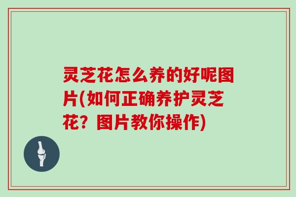 灵芝花怎么养的好呢图片(如何正确养护灵芝花？图片教你操作)