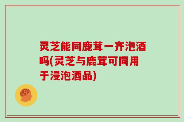 灵芝能同鹿茸一齐泡酒吗(灵芝与鹿茸可同用于浸泡酒品)
