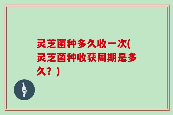 灵芝菌种多久收一次(灵芝菌种收获周期是多久?)