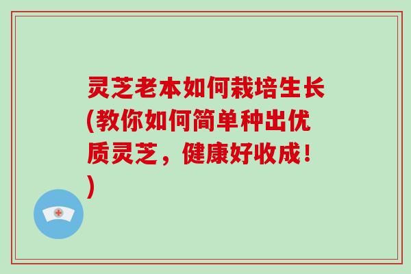 灵芝老本如何栽培生长(教你如何简单种出优质灵芝，健康好收成！)